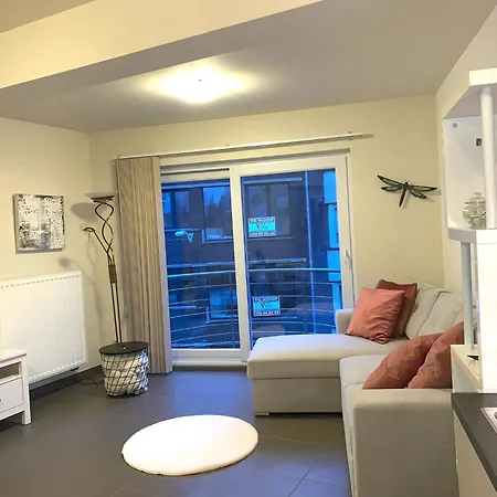 Stijlvol In Hartje Vlak Bij Het En De Winkelstraat - 6p オステンド