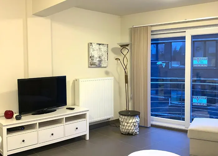 Apartment Stijlvol In Hartje Vlak Bij Het En De Winkelstraat - 6p Ostende