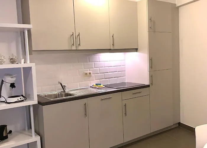 Stijlvol In Hartje Vlak Bij Het En De Winkelstraat - 6p Ostende